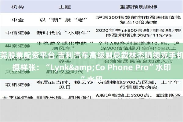 东莞股票配资平台 吉利汽车高级副总裁林杰晒领克手机拍摄样张：“Lynk&Co Phone Pro”水印