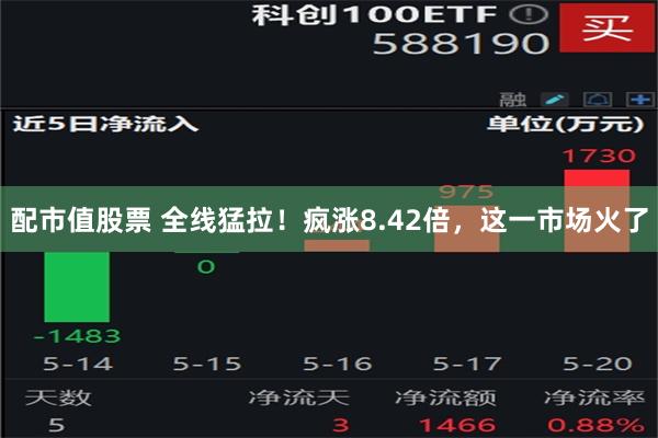 配市值股票 全线猛拉！疯涨8.42倍，这一市场火了