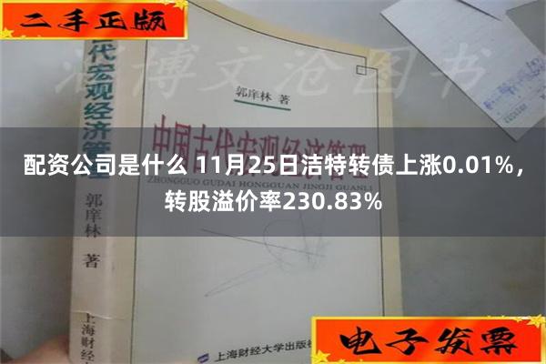 配资公司是什么 11月25日洁特转债上涨0.01%，转股溢价率230.83%